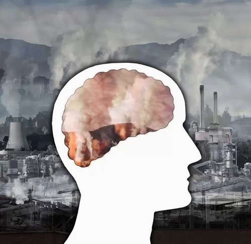 Investment in creating clean air leads to the improvement of the physical and mental health of a community. 